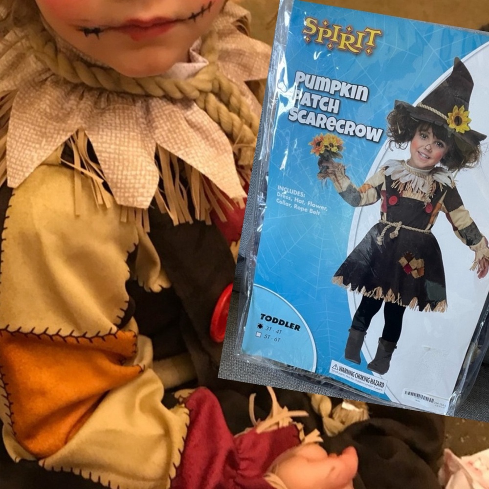 Scare Crow Costume